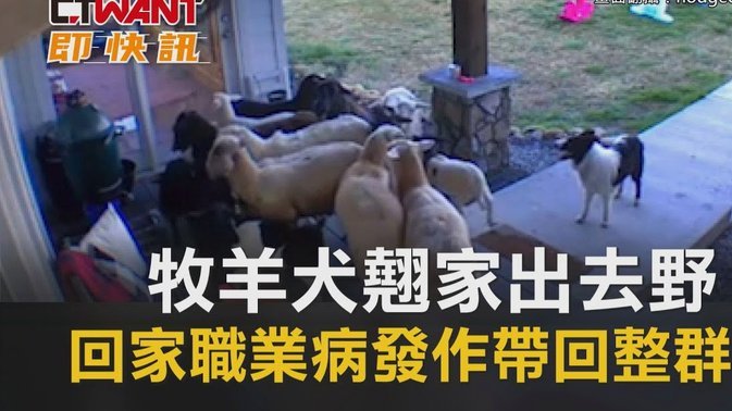 羊小咩便利卡额度变现金流术
