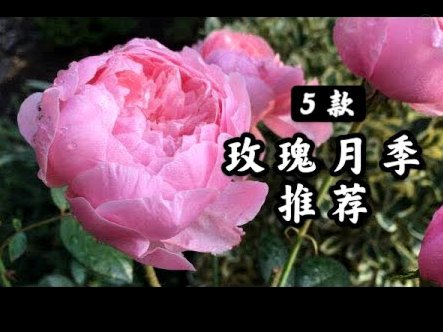 花呗“套路”：防范风险指南