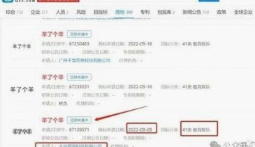 拼多多自动发货虚拟商品软件