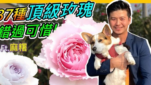 拿去花取现怎么修改金额还款