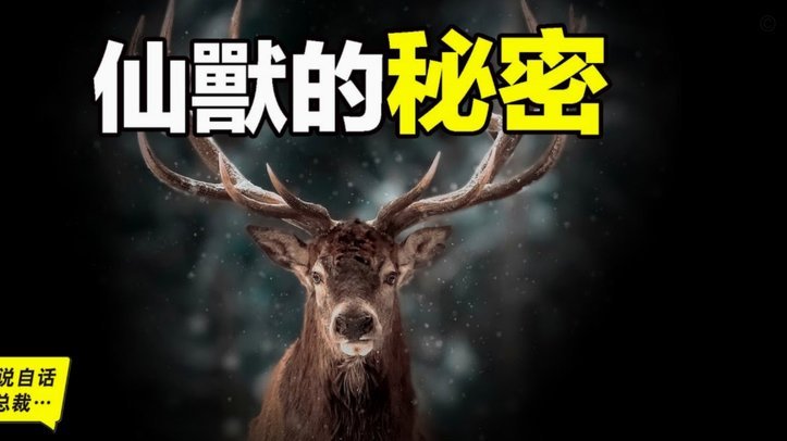 智能回收新模式