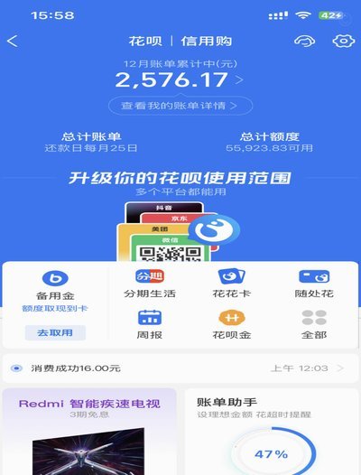 花呗借款背后的真相