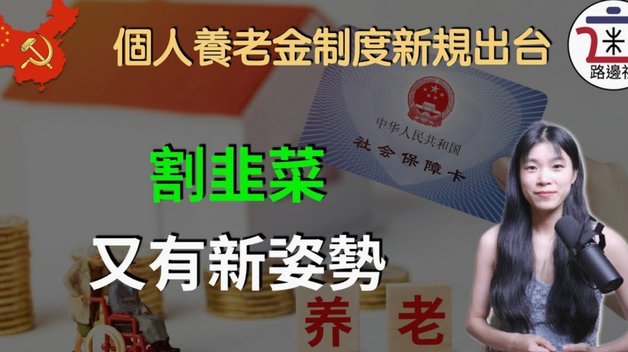 商家与平台规则揭秘