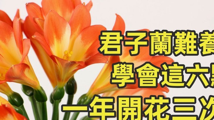 花呗这个平台合法吗 怎么关闭