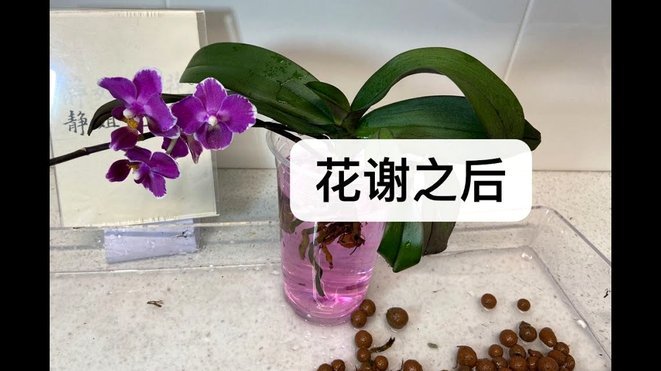 花呗这个平台合法吗 怎么关闭