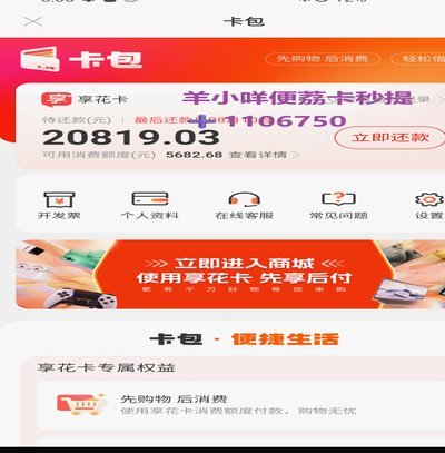 羊小咩的钱怎么套出来