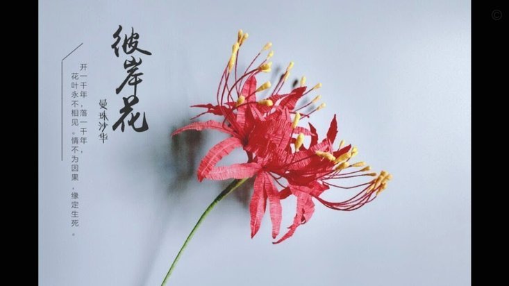 拿去花卡如何提现？最新攻略revealed