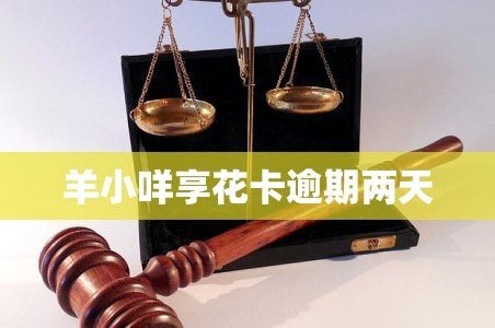 羊小咩逾期两日，信任危机浮现