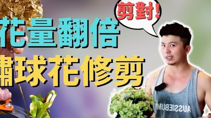 套现花呗的手续费如何计算？深度解析其构成与隐性成本