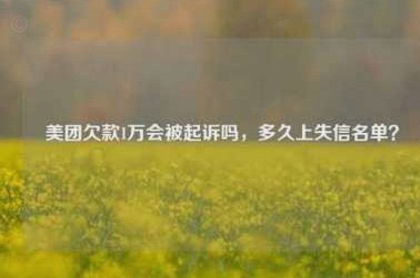 美团月付取现不上征信