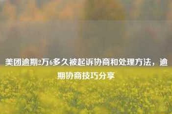 美团月付取现上征信不