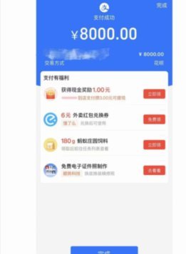 找人套花呗是什么意思