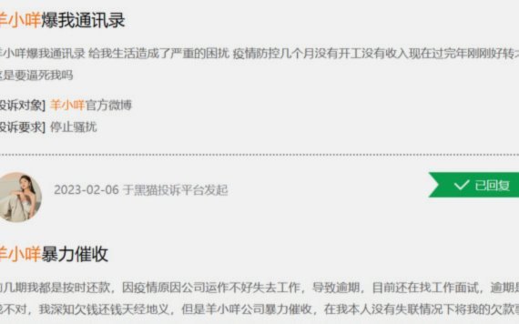 羊小咩平台深度测评：值得关注吗？