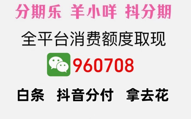 羊小咩额度：如何提升你的借款能力