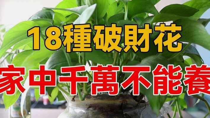 花呗异常无法使用多久恢复