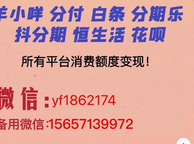 佳物分期额度在哪里看