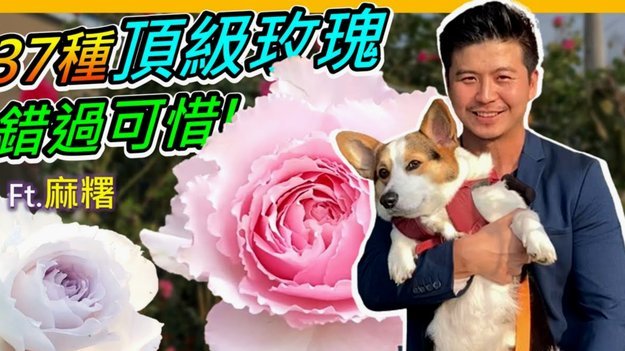 携程“拿去花”取现全解析：便利背后的风险与考量