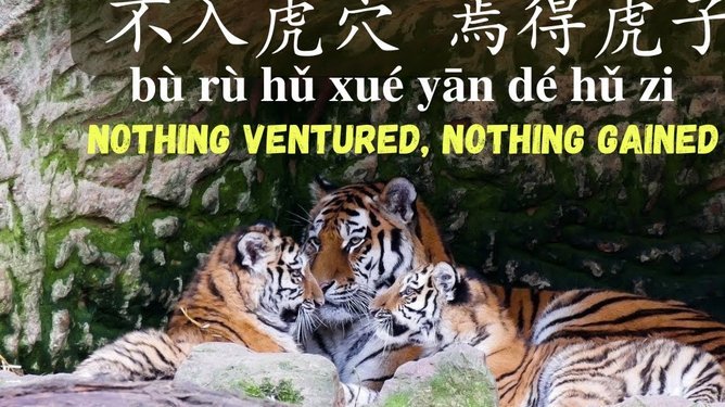 得物余额不能提现