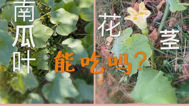 拿去花额度能提现吗？揭秘背后真相