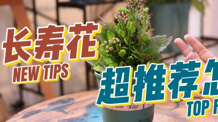 花呗套线攻略与风险警示