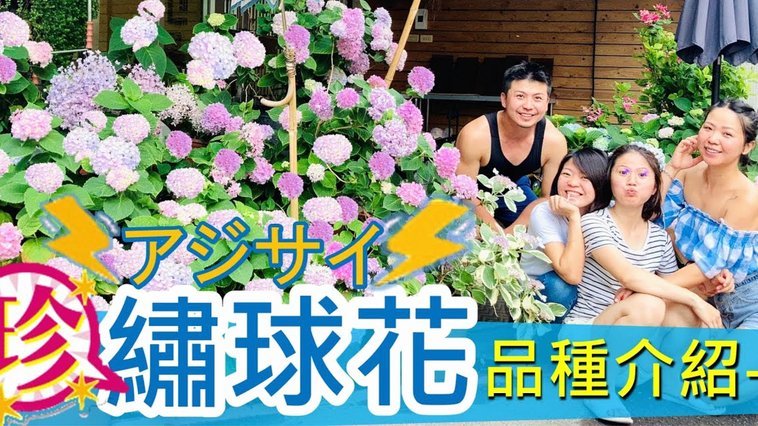 花呗提现到余额宝需付费吗？