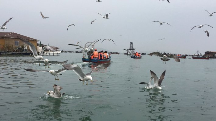 海鸥网贷怎么样