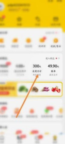 美团月付在哪取现