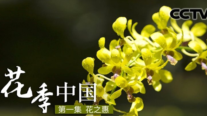 揭秘各类套现平台的真实手续费率