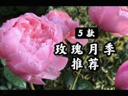 套花呗的行为本质是什么