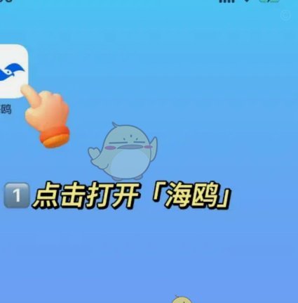 海鸥觅食：还款的生态智慧