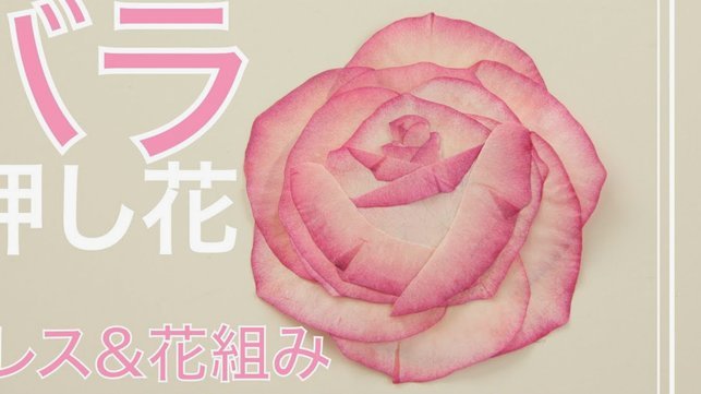 花呗如何提现到银行卡？手把手教你详细的操作步骤