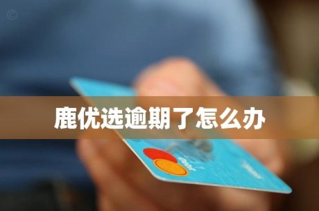 鹿平台是哪个网贷
