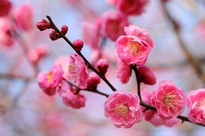 拿去花哪里可以套