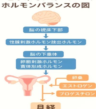 拼多多500备用金在哪里