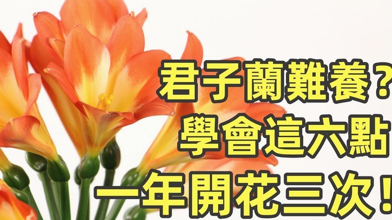 花呗如何安全高效地提现金？