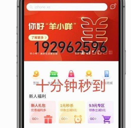羊小咩贷款额度