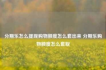 新模式下的买家秀经济