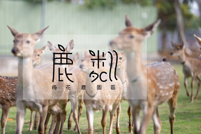 鹿优选地址在哪里
