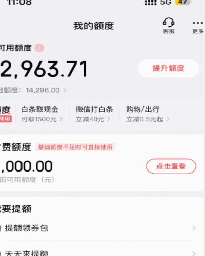 白条提取额度